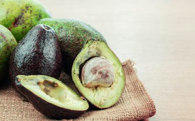 6 Cara Mematangkan Alpukat Lebih Cepat. Ada yang Hanya Butuh 10 Menit!