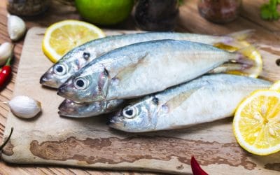 Bukan Hanya Cek Mata dan Insang, Ini Tips Lain Memilih Ikan Yang Harus Diketahui