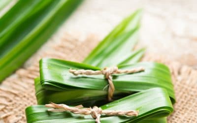 Serupa Tak Sama, Ini Beda Fungsi Daun Suji dan Pandan!