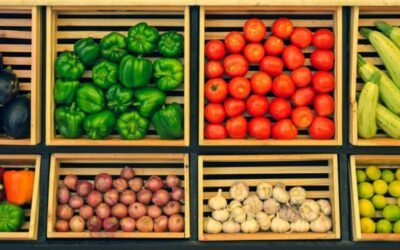 8 Cara Menyimpan Sayur Agar Tetap Segar dan Berkualitas Baik