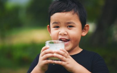 Differences Between Evaporated Milk and Sweetened Condensed Milk : Which is Better?