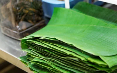 How to Store Banana Leaves to Last for Months