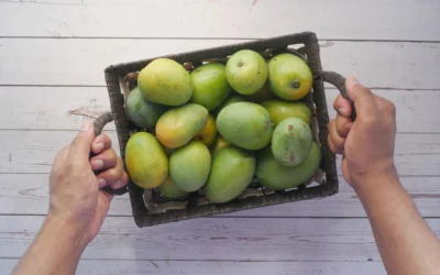 Cara Menyimpan Mangga agar Cepat Matang: Trik Mudah untuk Mangga Manis dan Lezat