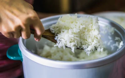 Penyebab Nasi Cepat Basi di Rice Cooker: Kenapa Bisa Terjadi?