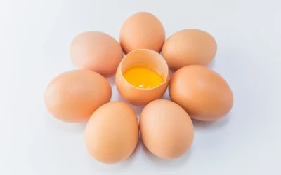 The Differences Between Omega Eggs and Regular Eggs You Should Know Before Buying