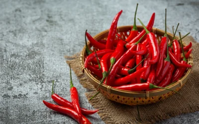 Types of Chili Peppers in Indonesia That Are Most Popular and Commonly Used in Cooking