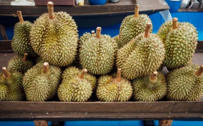 Cara Memilih Durian yang Manis dan Matang Sempurna